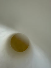 Load image into Gallery viewer, Heavy Duty 290 gallon IBC Totes 2" SS Valves & 6" fill hole, Triple Rinsed, Local Pick Up ONLY